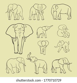 Illustrated graphical set of eleven elephants isolated on cream background, vector black lines elephants for multi-purpose