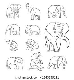 Illustrated graphical set of eleven elephants isolated on white background, vector black lines elephants for multi-purpose