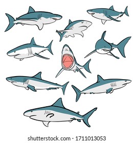 Illustrated graphical set of nine sharks isolated on white background, vector color sharks for multi-purpose