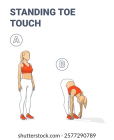 Illustrated guide of a woman performing the Standing Toe Touch stretch exercise in two stages. Ideal for fitness training, wellness guides, workout tutorials, and healthy lifestyle concepts.