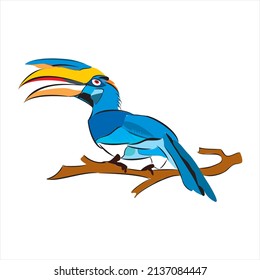 Illustrated hornbill clipart on the white background 