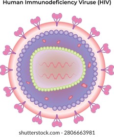 Illustrated Human Immunodeficiency Virus Structure Isolated