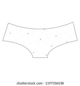 An Illustrated Icon Isolated on a Background - Womens Briefs