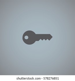 An Illustrated Icon Isolated on a Background - Key