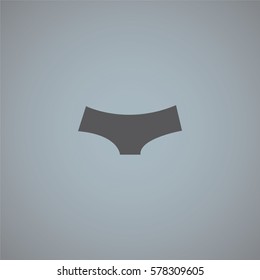 An Illustrated Icon Isolated on a Background - Womens Briefs
