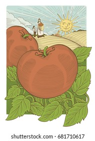 Illustrated image of fresh tomatoes on agricultural landscape background.