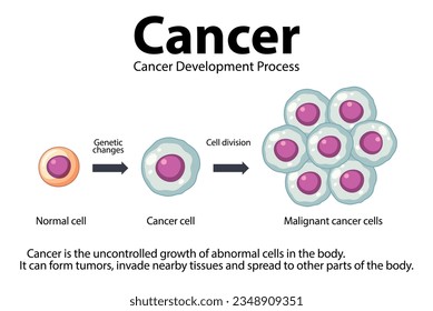 Illustrated infographic depicting the development and processing of cancer cells