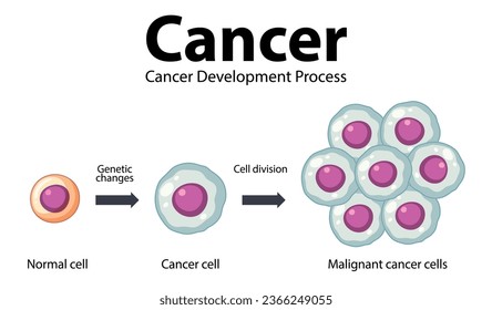 Infografía ilustrada que ilustra el desarrollo y procesamiento de células cancerígenas