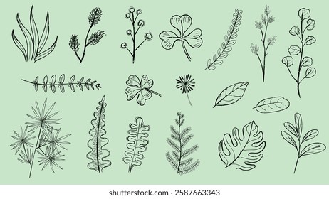 Illustrated leaves and plants in black line art on a green background. Botanical sketches of leaves, plants, and foliage. Simple, artistic plant designs. Cute leaf illustrations, vector set.