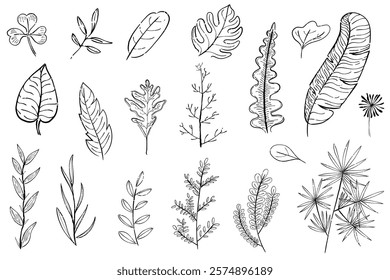 Illustrated leaves in various styles. Leaf sketches include ferns, palm, and oak. Hand-drawn leaves offer a variety of shapes and textures. Leaf art collection. Cute leaf illustrations, vector set.