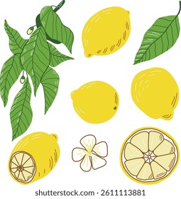 Illustrated Lemon Fruits With Leaves and Blossoms in Vibrant Design. Collection of illustrations featuring vibrant yellow lemons, green leaves, and a delicate flower, perfect for showcasing fresh 
