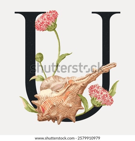 Illustrated letter 'U' with a seashell and pink flowers. Elegant design with botanical elements. Perfect for nature-themed decor or stationery. Vintage floral font vector.