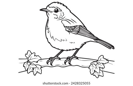 Illustrated line drawing of a male American robin bird