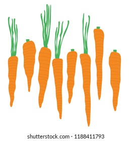 Illustrated Orange Carrots