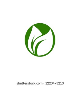 Illustrated picture of leaves above in a colored circle, leaf symbol for the company