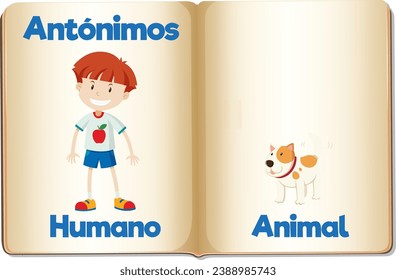 Illustrated picture word card depicting the antonyms 'humano' and 'animal' in Spanish Human and Animal