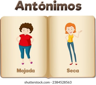 Illustrated picture word card teaching fat and slim in Spanish