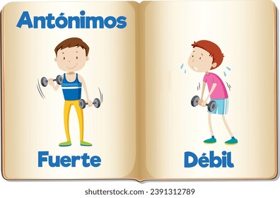 Illustrated picture word cards teaching the Spanish antonyms for strong and weak