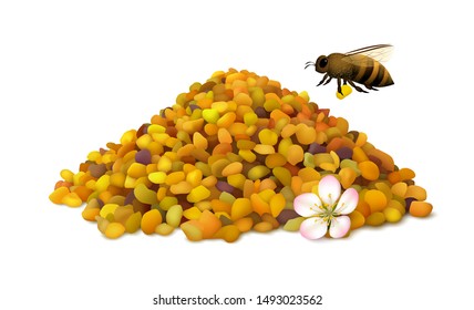 Illustrated pile of bee pollen grains, flying honeybee and apple flower on white background. Realistic vector illustration.