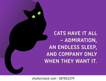 Illustrated Quote, Black Cats - Cats have it all: admiration, an endless sleep, and company only when they want it.