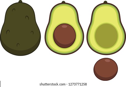 Illustrated set of avocados featuring full and half exposure. 
