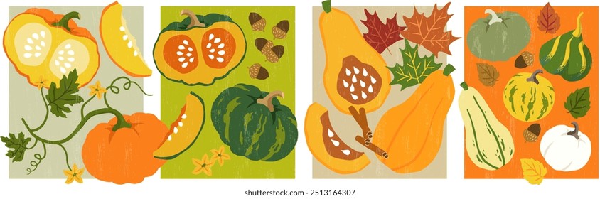 Conjunto ilustrado de diferentes calabazas y calabazas. Usa estos Elementos en tus diseños de otoño e invierno