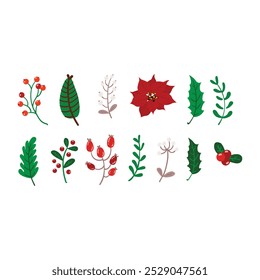 Illustrated set of holiday-themed leaves, berries, and flowers, featuring holly, poinsettia, mistletoe, and other festive plants.