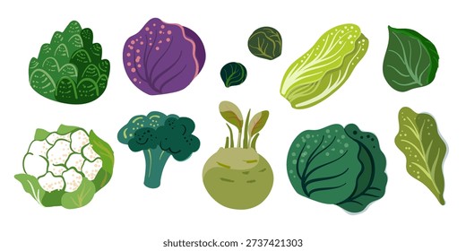 Illustrated set of stylized brassica vegetables including broccoli, cauliflower, kohlrabi, and various cabbages. Each piece features unique textures, organic shapes and natural colors