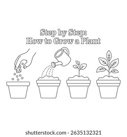 Illustrated steps on how to grow a plant, from seeds to a young plant, shown in a clear line art style perfect for learning.