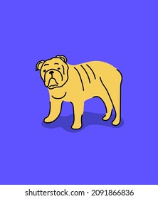 Illustrated toy dog breeds, flat bright illustration. Colorful print with wall art with English bulldog