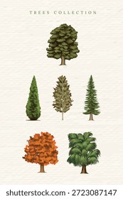 Illustrated trees collection featuring various tree types. Trees include pine, oak, and palm. Tree illustrations are diverse and detailed, showcasing nature's variety. Nature illustration vector.