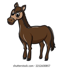 illustrated vector of baby horse isolated