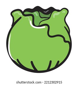 illustrated vector of cabbage isolated