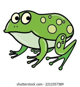 illustrated vector of frog isolated