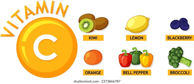 Imagen vectorial ilustrada de frutas y verduras ricas en vitamina C