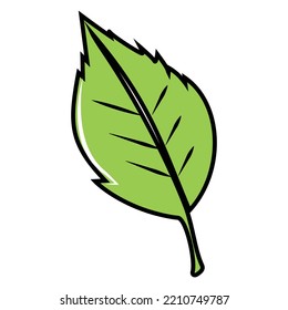 illustrated vector of Leaf isolated
