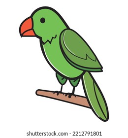 illustrated vector of parrot isolated