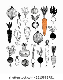 Illustrated vegetables, varying shapes and textures, line and solid fills; onions, carrots, and radishes dominate, showcasing diversity in style.