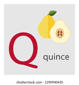 Illustrated Vocabulary Card with Letter Q and Quince. Vector Fruits and Berries Alphabet.