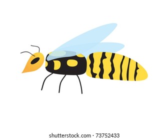 Illustrated Wasp. Vector. Isolated.