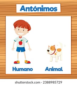 Illustrated word card depicting opposite meanings of 'humano' and 'animal' in Spanish Human and Animal