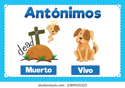 Illustrated word card in Spanish featuring antonyms Muerto and Vivo means dead and alive