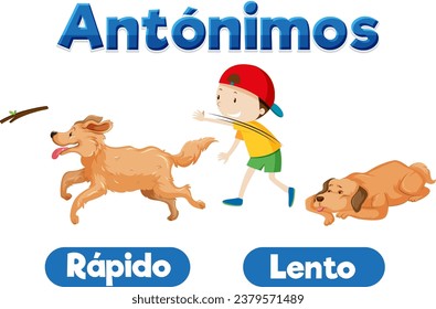 Illustrated word cards in Spanish for teaching the antonyms 'Rápido' and 'Lento' meaning 'Fast' and 'Slow'