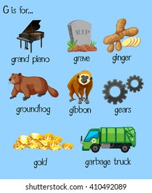 Illustrated words for the letter G