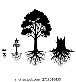 Veranschaulicht den Lebenszyklus eines Baumes, von einem kleinen Sämling zu einem reifen Baum, und schließlich ein Stumpf mit sichtbaren Wurzeln, alles in schwarzer Silhouette, die Wachstum, Entwicklung und Verfall.