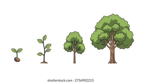 Illustrates the life cycle of a tree, from a small seedling emerging from a seed to a large, mature tree.