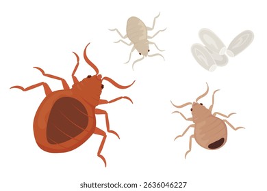 Ilustrando o ciclo de vida dos percevejos, mostrando vários estágios de desenvolvimento de ninfa a adultos, juntamente com ovos, todos colocados contra um fundo branco limpo