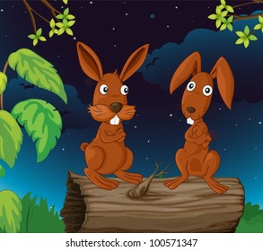 Illustration of 2 bunnies on a log