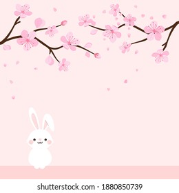 Cherry​ blossom​ branch​ and​ rabbit​ cartoon​ on​ pink​ background​ vector​ illustration.