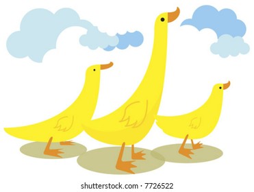 Illustration of 3 flock of yellow ducks - funny animals series.
